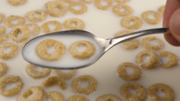 spoon of cereal with milk