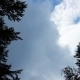 Trees And Clouds 2 - VideoHive Item for Sale