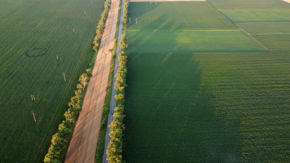 Drone Flying Over Road Between Green Agricultural Fields During Dawn Sunset alt