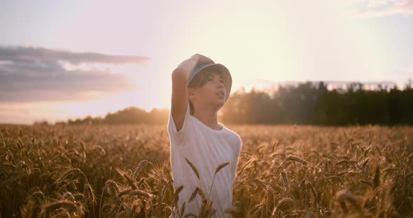 Funny Boy in a Golden Wheat Field Looks at the Beautiful Sky at Sunset Before Storm Cinematic Shot