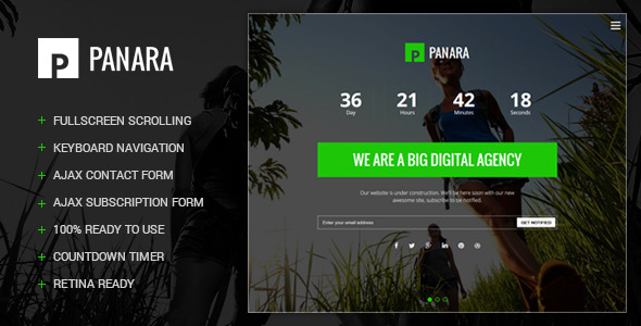 Panara - Responsive - ThemeForest 8859360