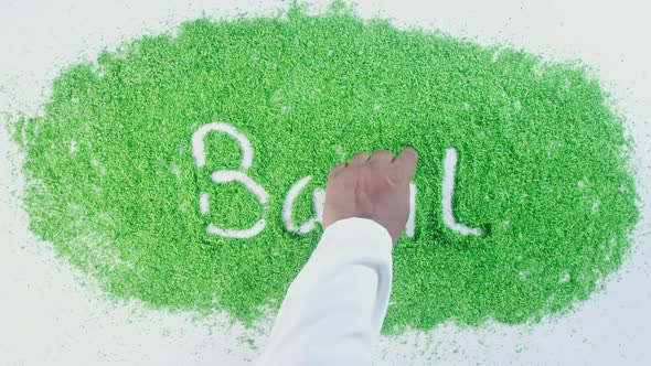 Green Hand Writing Basil