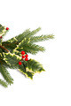 Photo of holly background green | Free christmas images