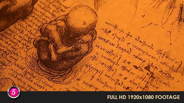 Anatomy Drawings 227 alt