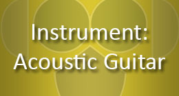 Instrument Acoustic Guitar