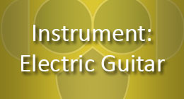 Instrument Electric Guitar