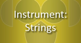 Instrument Strings
