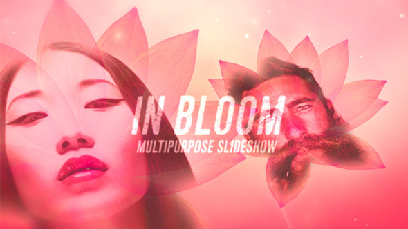 In Bloom - VideoHive 8993695
