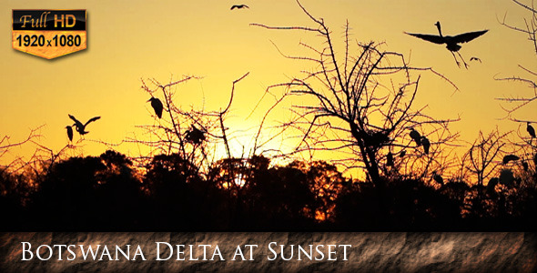 Botswana Delta at Sunset