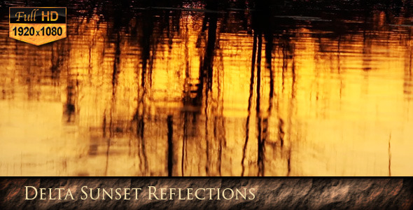 Delta Sunset Reflections