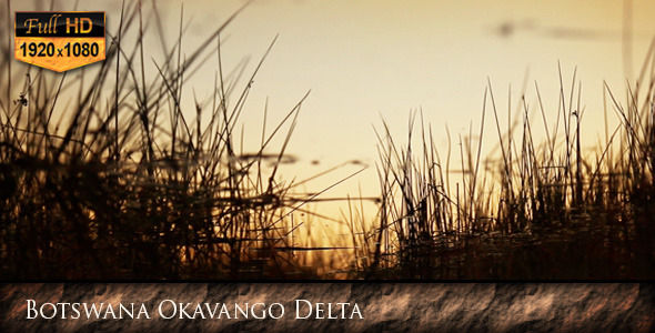 Botswana Okavango Delta