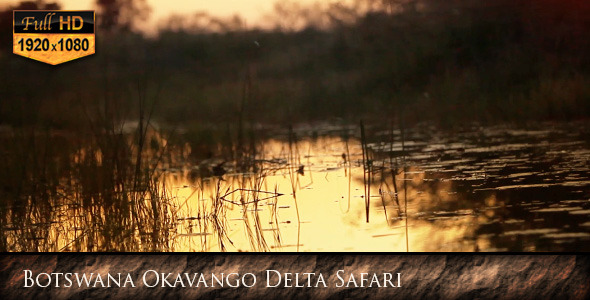 Botswana Okavango Delta Safari
