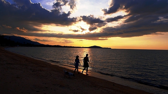 Sunset Walk in Slow Motion alt