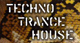 Techno, Trance, House
