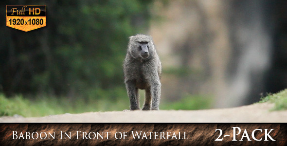 Baboon In Front of Waterfall