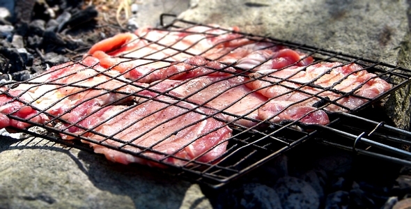 Grilled Steak ( Miniature Effect) alt