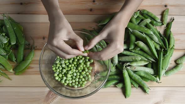 womans hand shelling fresh ripe green peas bean