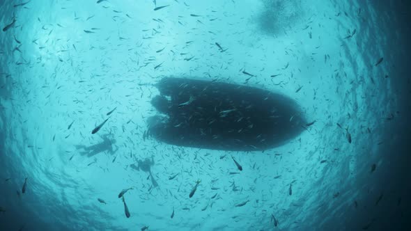 Unique underwater photography perspective Snell's window of a large boat with snorkelers swimming an alt