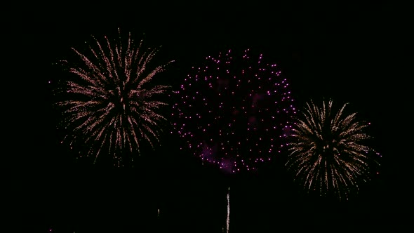 Colorful Firework display at night on sky background alt