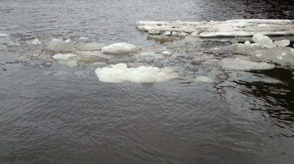 Ice Floe Floats in Water 2