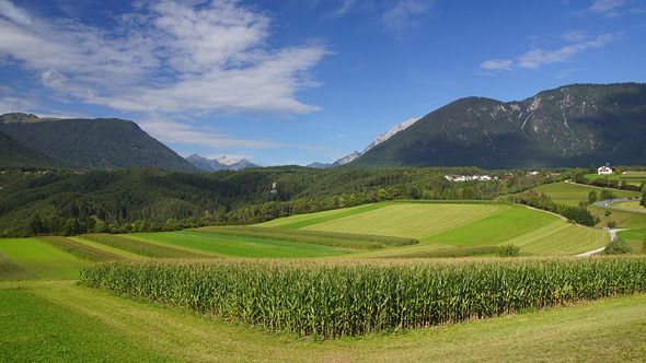 Alpine Landscape