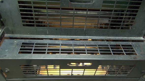 Printing Machine 5 alt