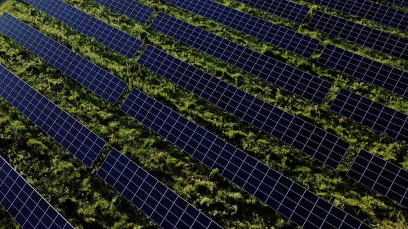 Aerial view of Solar Panels Stand At Sunrise. Flyover Fields Green Energy alt