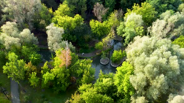 Aerial view on sunny green city park and duck pond