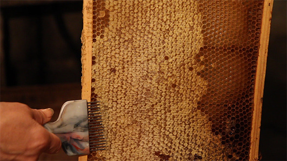 Beekeeper Unseal Honeycomb