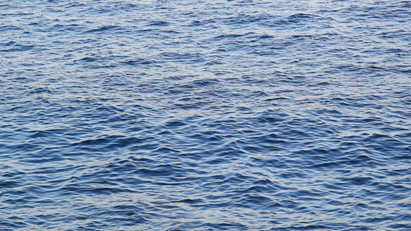 The Sea Surface 01