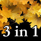 Autumn Leaves Transition - VideoHive Item for Sale