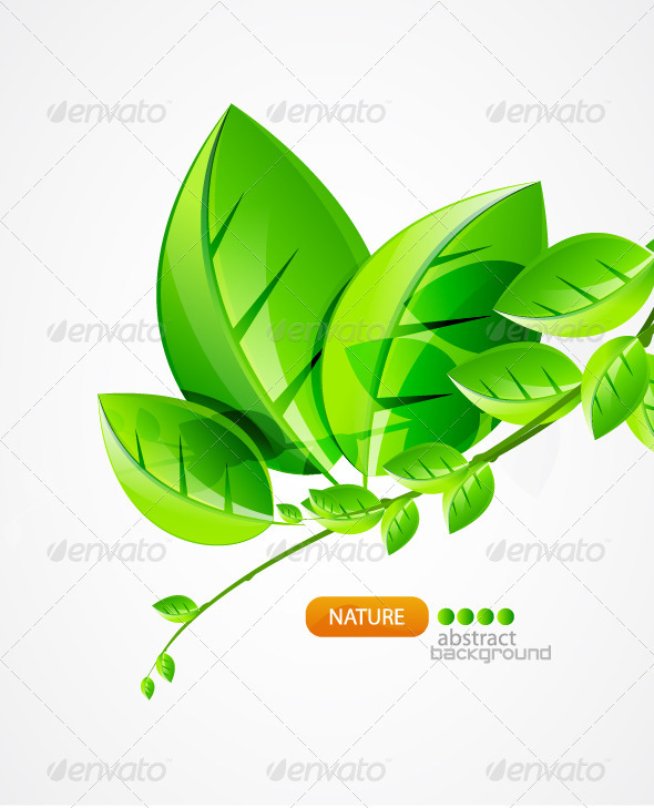Nature green concept background - Seasons Nature
