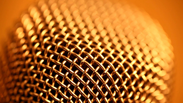 Microphone 161