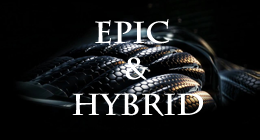 Epic&Hybrid