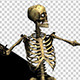 Skeleton Funny Street Dancing 1 - VideoHive Item for Sale