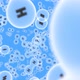 Fly Through Hydrogen Molecules - VideoHive Item for Sale