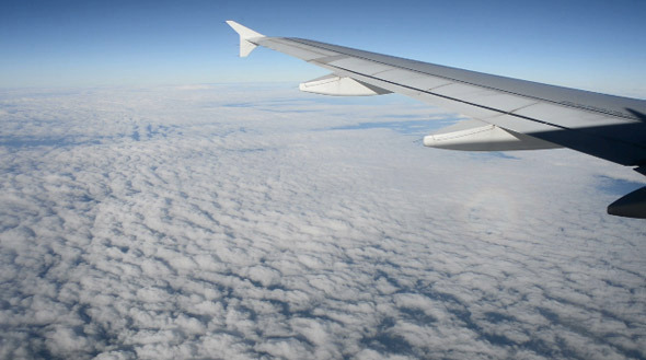 Airplane Wing and Sky alt