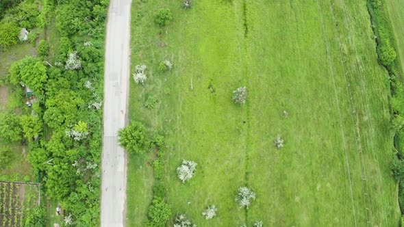 Top Down Aerial Shot of Rural Road with Cars Driving on It alt