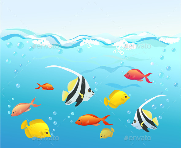Coral Fish Under Water - Animals Characters