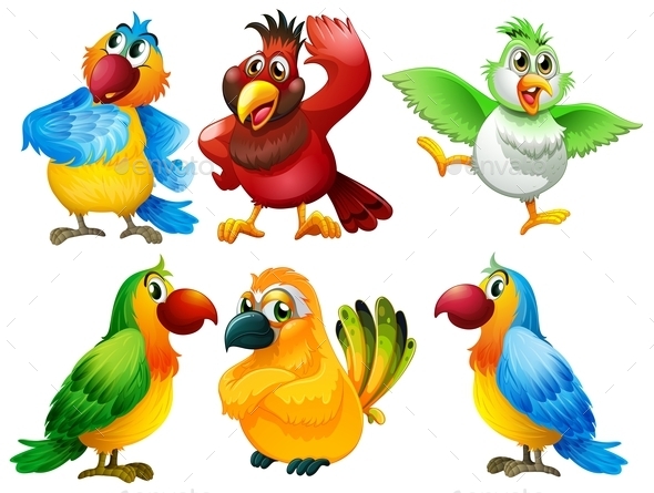 Birds - Animals Characters