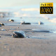 Beautiful Beach in Turkey - VideoHive Item for Sale