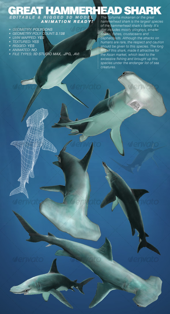 Great Hammerhead Shark - 3Docean 118095