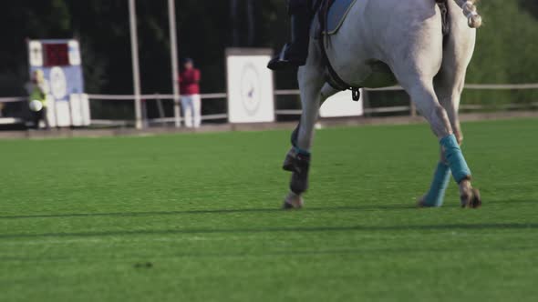 Polo Game Girl on Horseback in Slow Motion alt