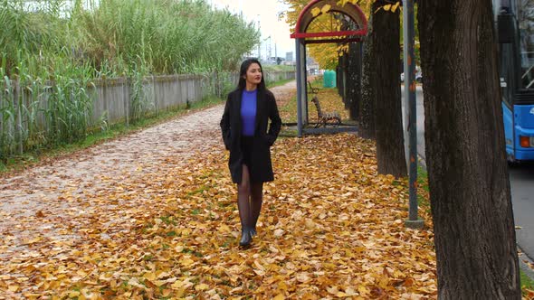 Young woman strolls alone in a tree-lined avenue in autumn.