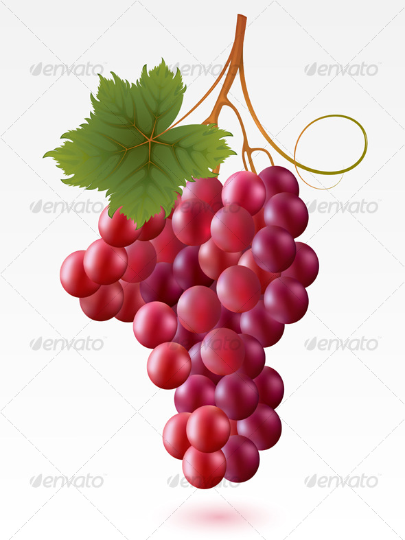 Grapes - Food Objects