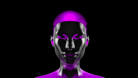 AI Cyborg head