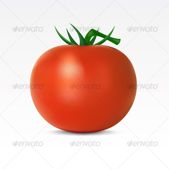 Tomato - Food Objects
