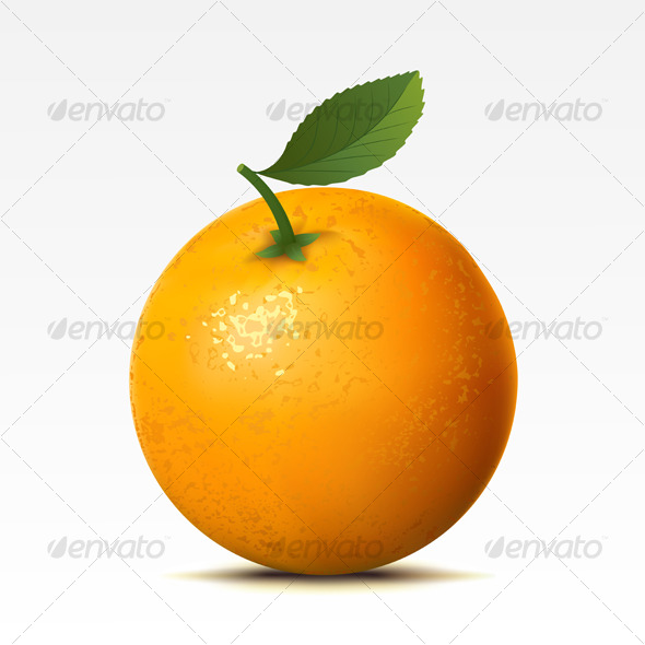 Orange - Food Objects