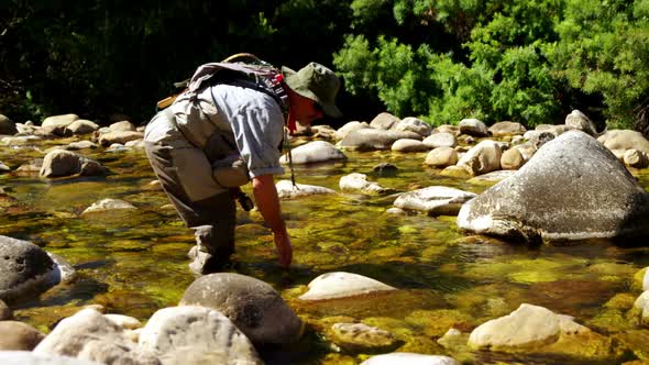 Fly fisherman searching fish in shallow river water alt