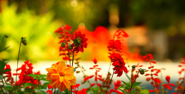 Flowers and Fountain in the Background